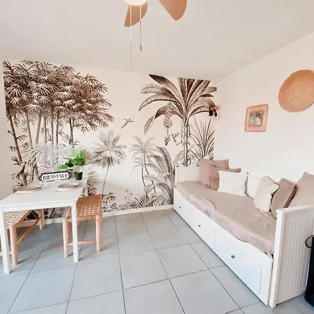 Apartment Coup De Coeur Avec Parking Et Piscine - 131 Canet-en-Roussillon